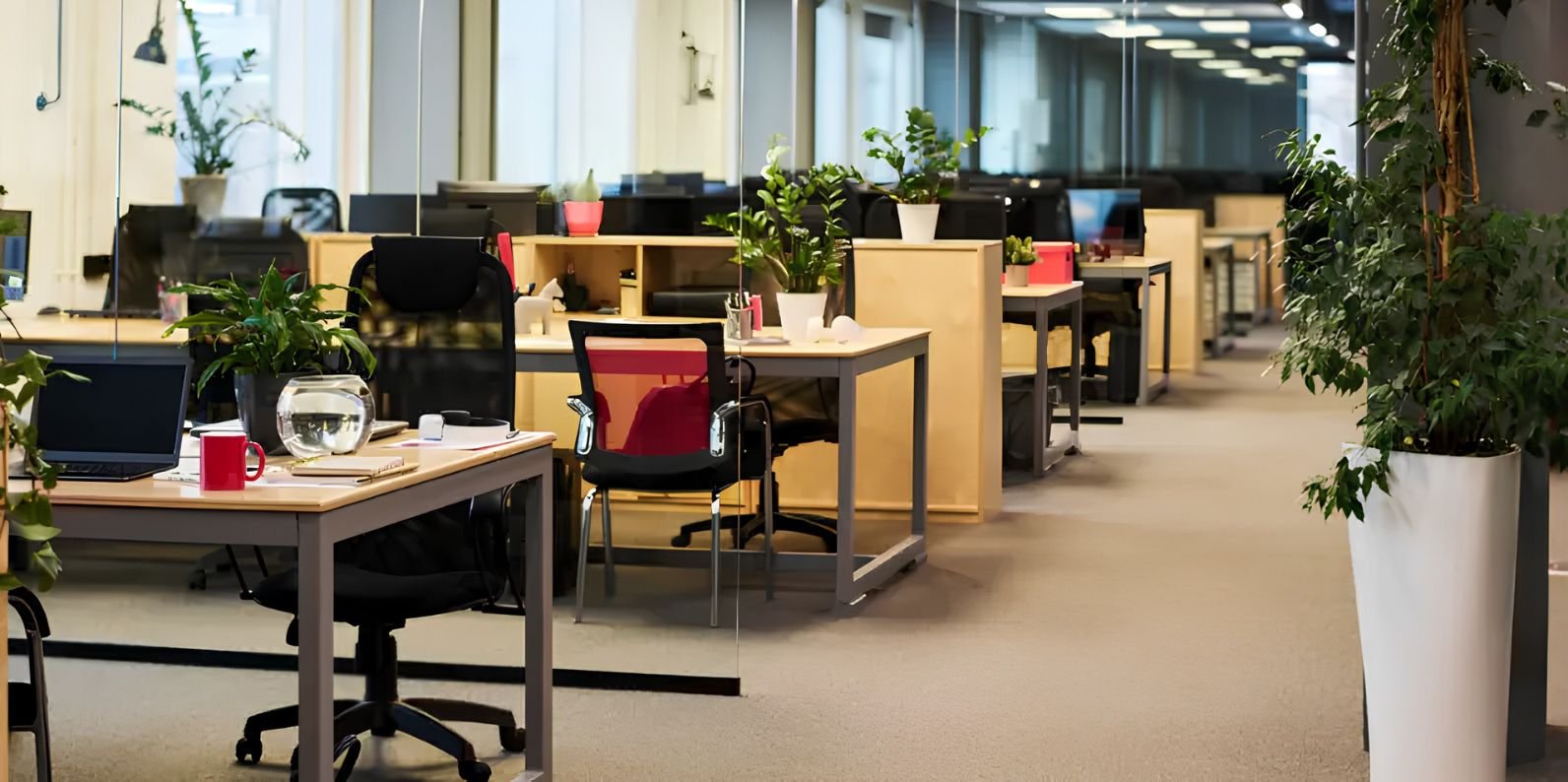 Biophilic Office Design