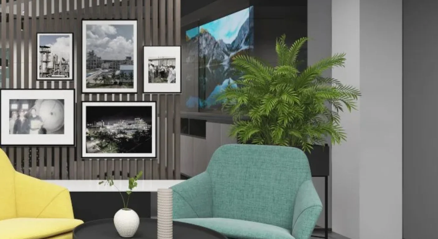 Startup office Plants for Life and Softness